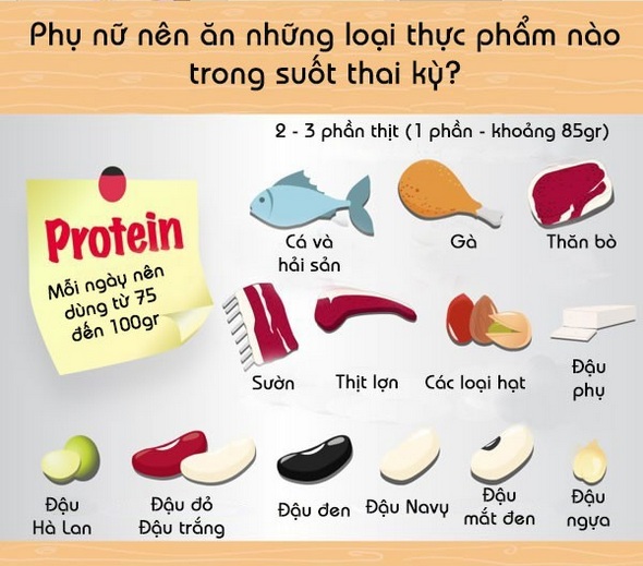 thuc pham giau protein tang suc de khang cho ba bau