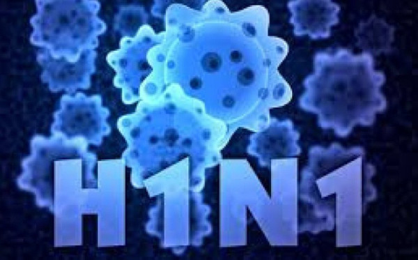 cum-A H1N1